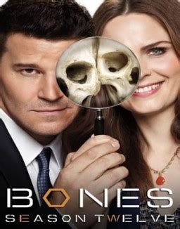 bones online latino temporada 1